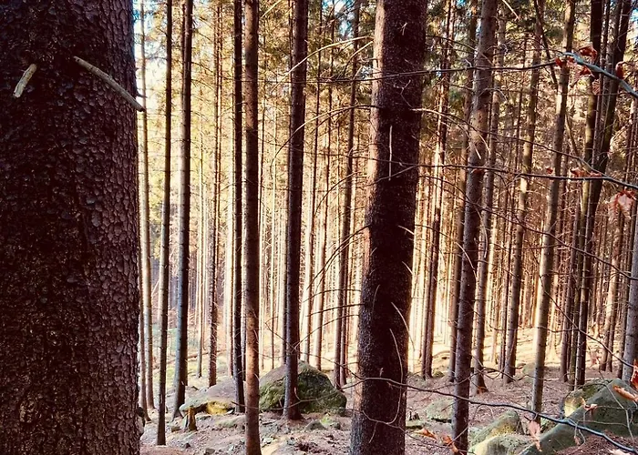 Tatil Evi Stodola Na Widoku Z Balia *